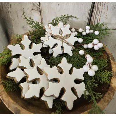 Snowflake Coasters Set 4