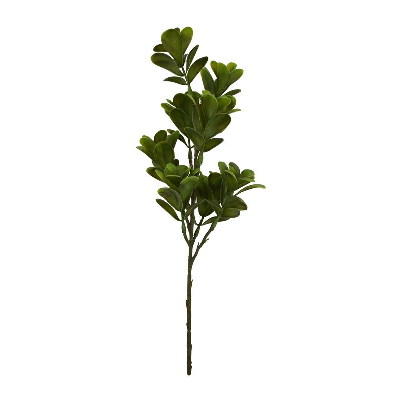 EUCALYPTUS PICK H17