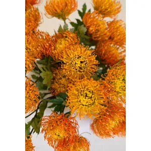 Artificial Orange Pincushion Protea 4