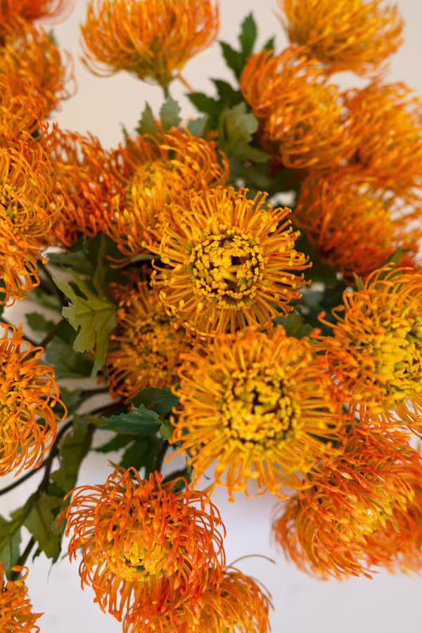 Artificial Orange Pincushion Protea