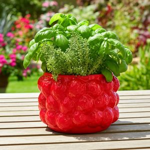 CALWIND RED PLANTER 6 (IN) 11