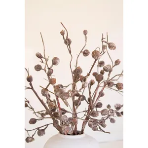 botanica #2863 3