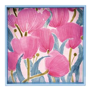 Tulip Blooms