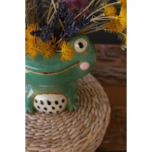 Ceramic Quirky Frog Planter 2