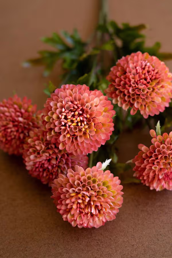 Bundle of 7 Artificial Blush Ball Dahlias