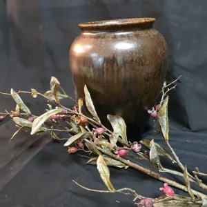 Autumn Olive Stem 1