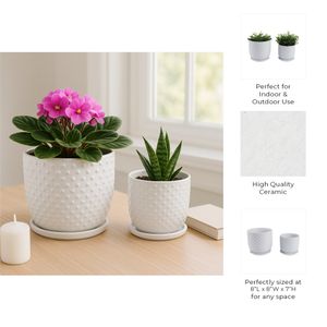 FIONAOAK SET OF 2 PLANTER 7 (IN) 10
