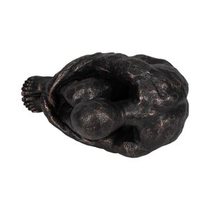 JANEPORT BRONZE DECOR 13 (IN) 7