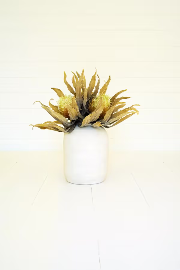 Botanica #3484