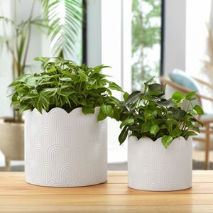 MORGANWIND SET OF 2 WHITE PLANTER 10 (IN) 11