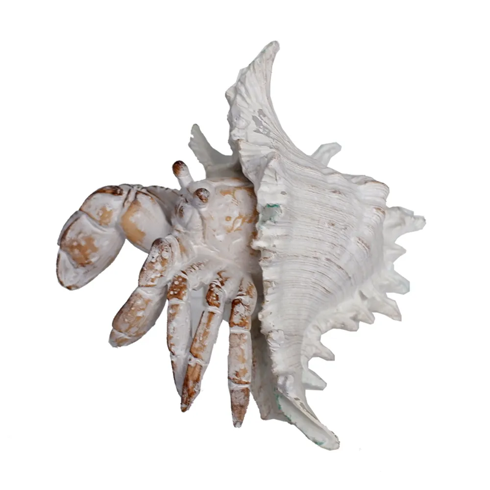 7-1/4" SPIRAL SHELL WITH A HERMIT CRAB