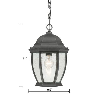 Covington 9.5'' Wide 1-Light Outdoor Pendant - Black