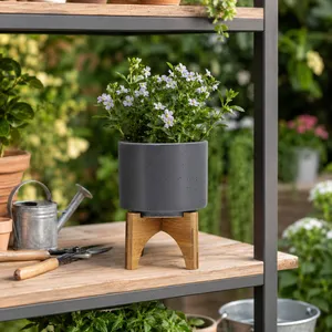 NORMAHAVEN GRAY PLANTER 7 (IN) 2
