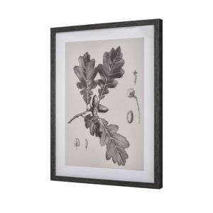 Foliage I Botanic Framed Wall Art - Ivory 2