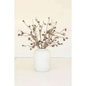 botanica #2863 1