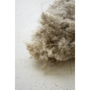 Large Bundle of Natural Pampas Grass 3