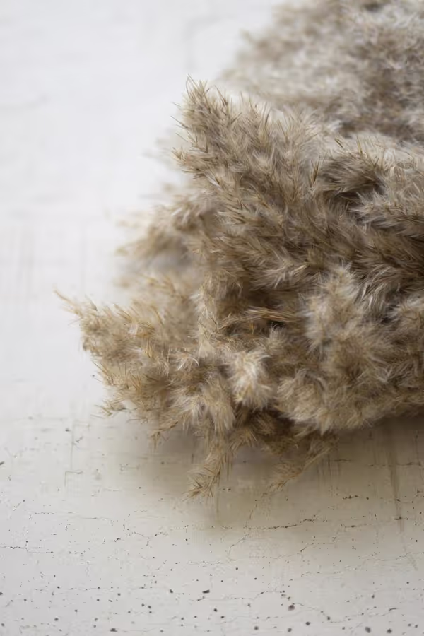 Large Bundle of Natural Pampas Grass