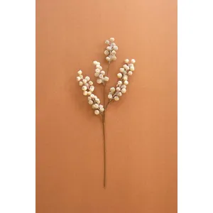 Botanica #9067 1