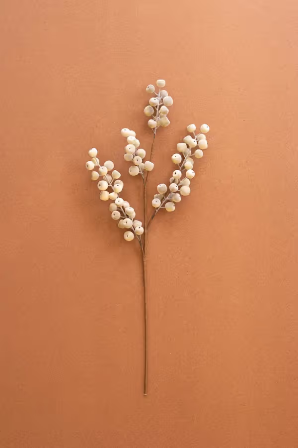 Botanica #9067