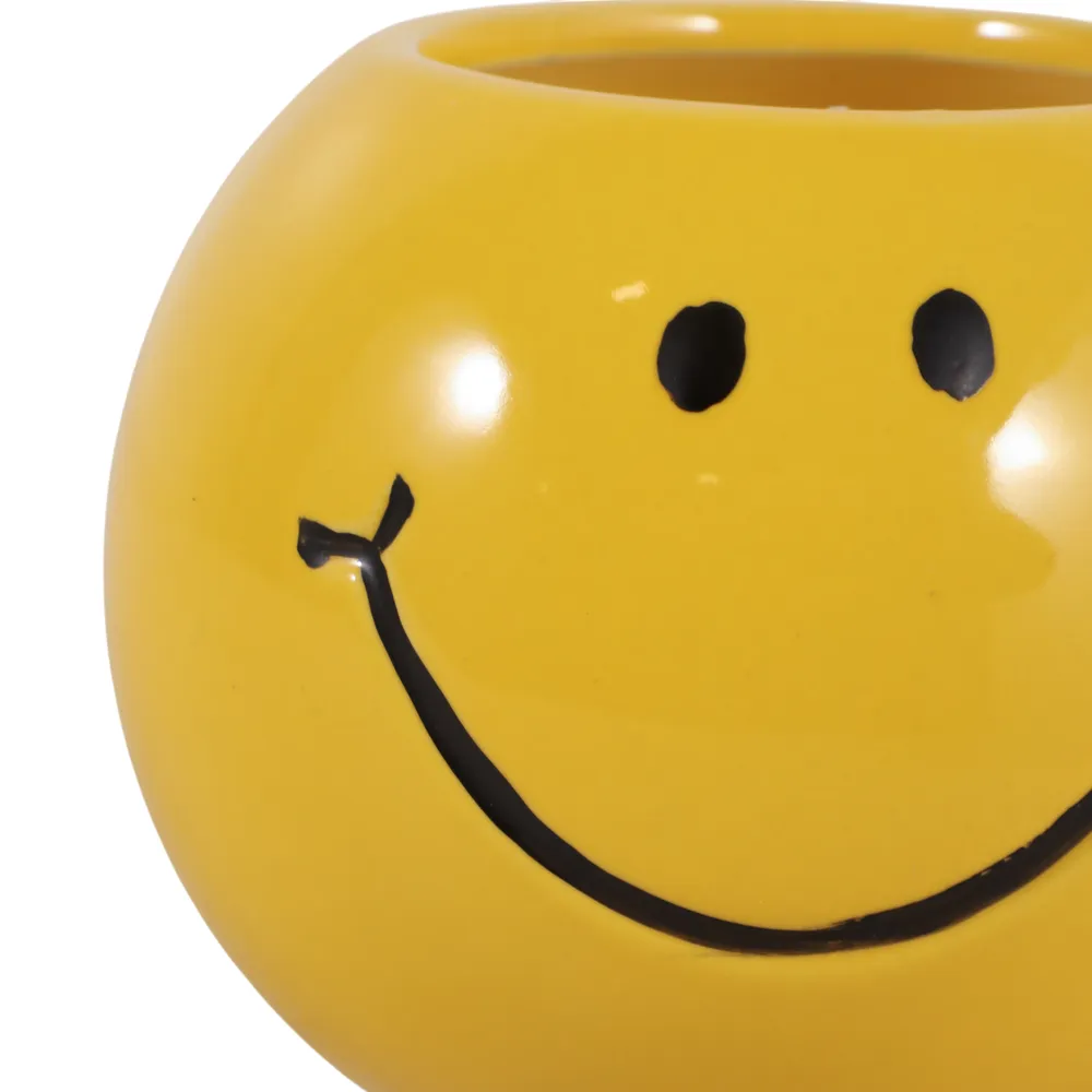 DIXONSTONE COCONUT GOJI SMILEY FACE CANDLE 3 (IN)
