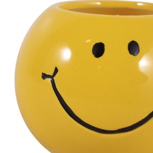 DIXONSTONE COCONUT GOJI SMILEY FACE CANDLE 3 (IN) 7