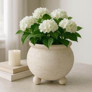 MERCERBURN IVORY PLANTER 9 (IN) 10