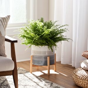 NOLOAK BEIGE PLANTER 14 (IN) 13