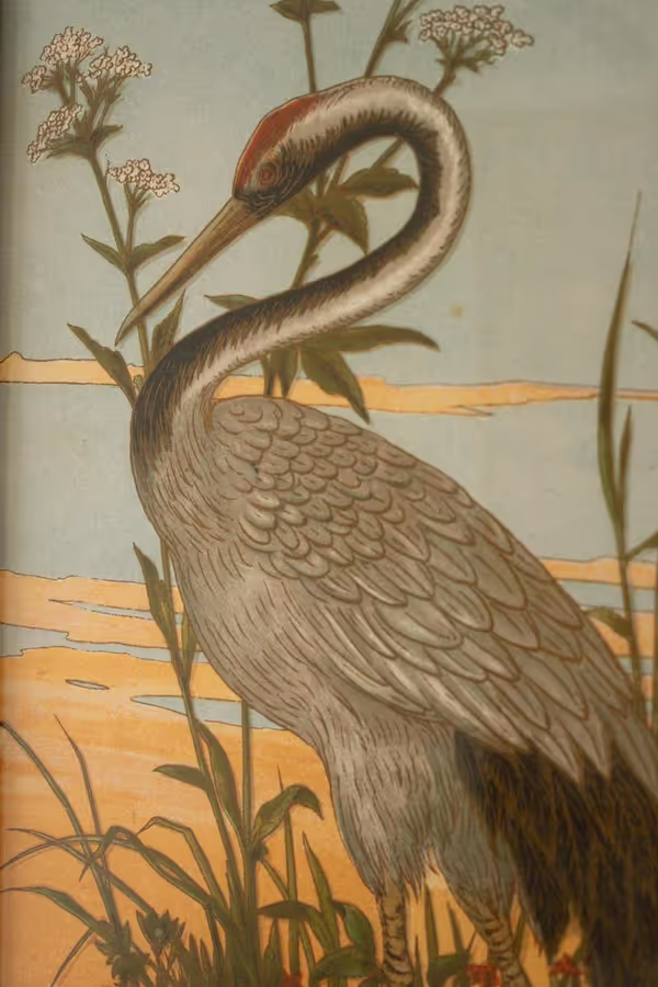 Set of 2 Framed Heron Prints under Glass