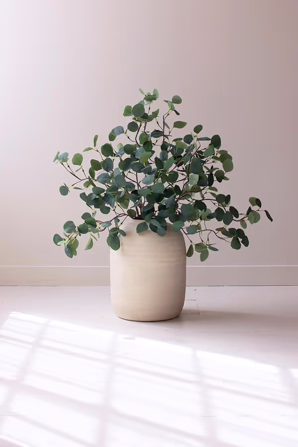 Botanica #3508