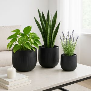 TODDCLIFF SET OF 3 BLACK PLANTER 16 (IN) 11