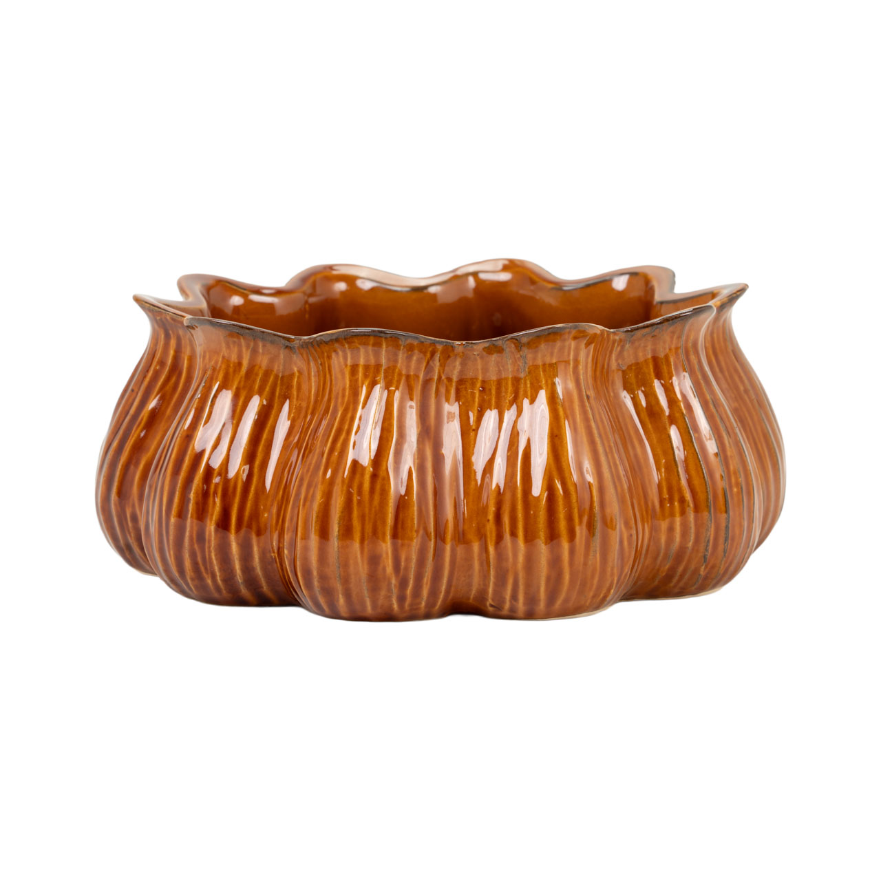 Rodney Planter 3