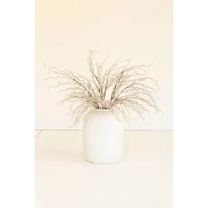 botanica #9009 1