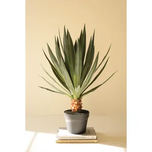 Artificial Sisal Plant in Black Plastic Pot 1