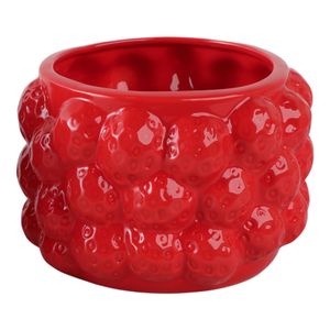 CALWIND RED PLANTER 5 (IN) 1