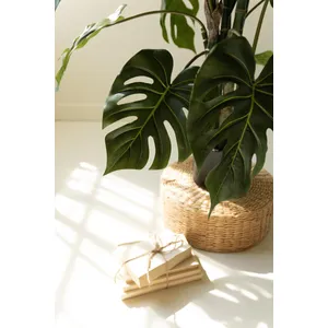 Artificial Monstera Plant in a Black Plastic Pot 2