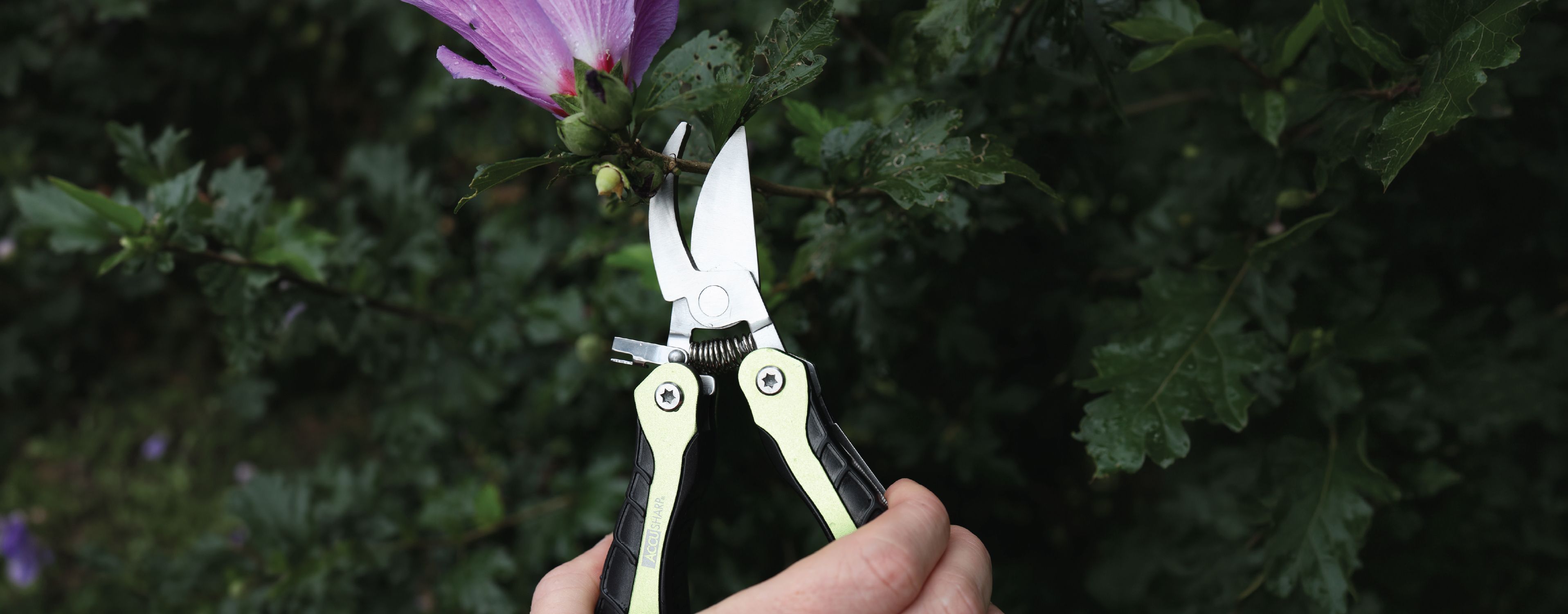 Knives & Multi-tools