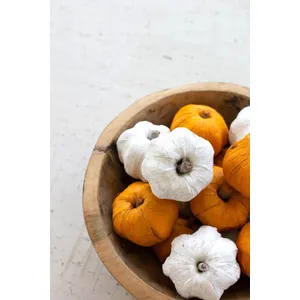 Bag of 15 Dried Miniature Faux Pumpkins / White 3