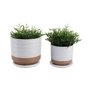FIONAOAK SET OF 2 PLANTER 7 (IN) 3