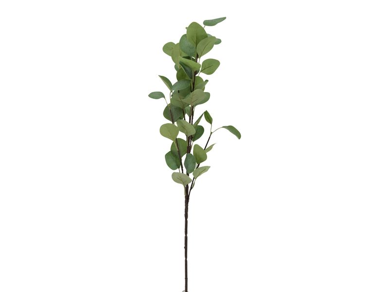 35" Eucalyptus Spray, Two Tone 1
