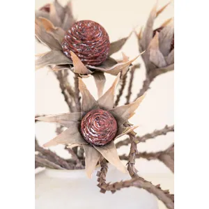 Botanica #2882 4