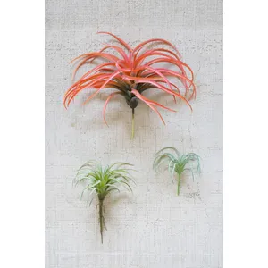 Flocking Red Air Plant 2
