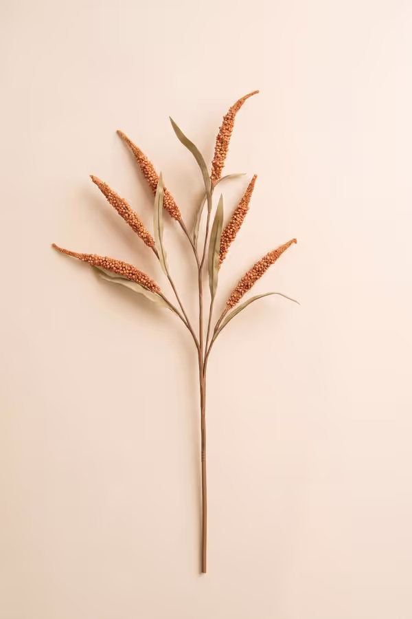Botanica #9071