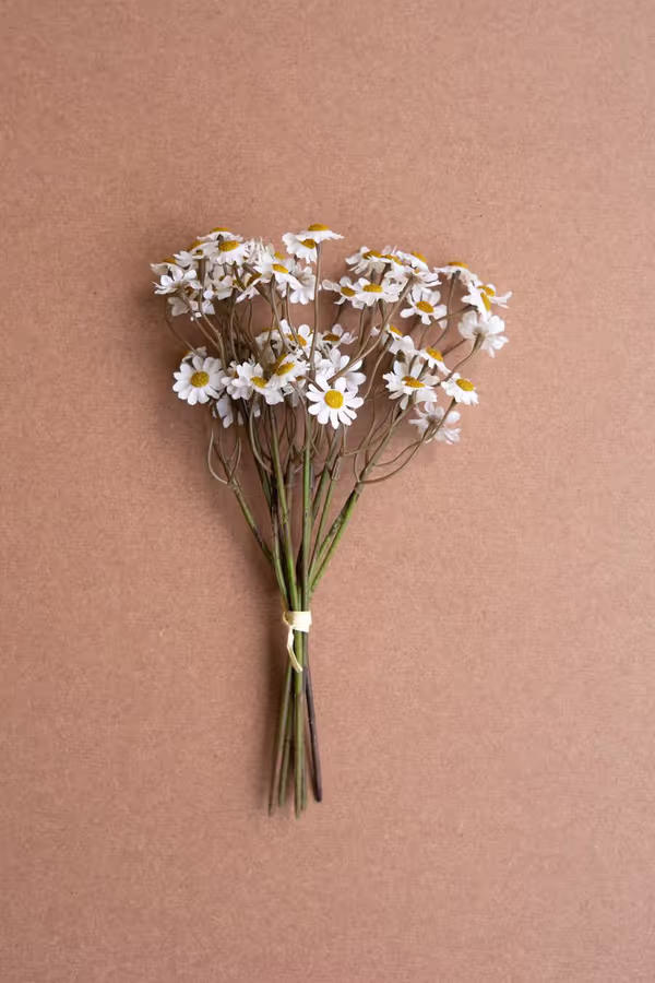 Faux Chamomile Bundle / White