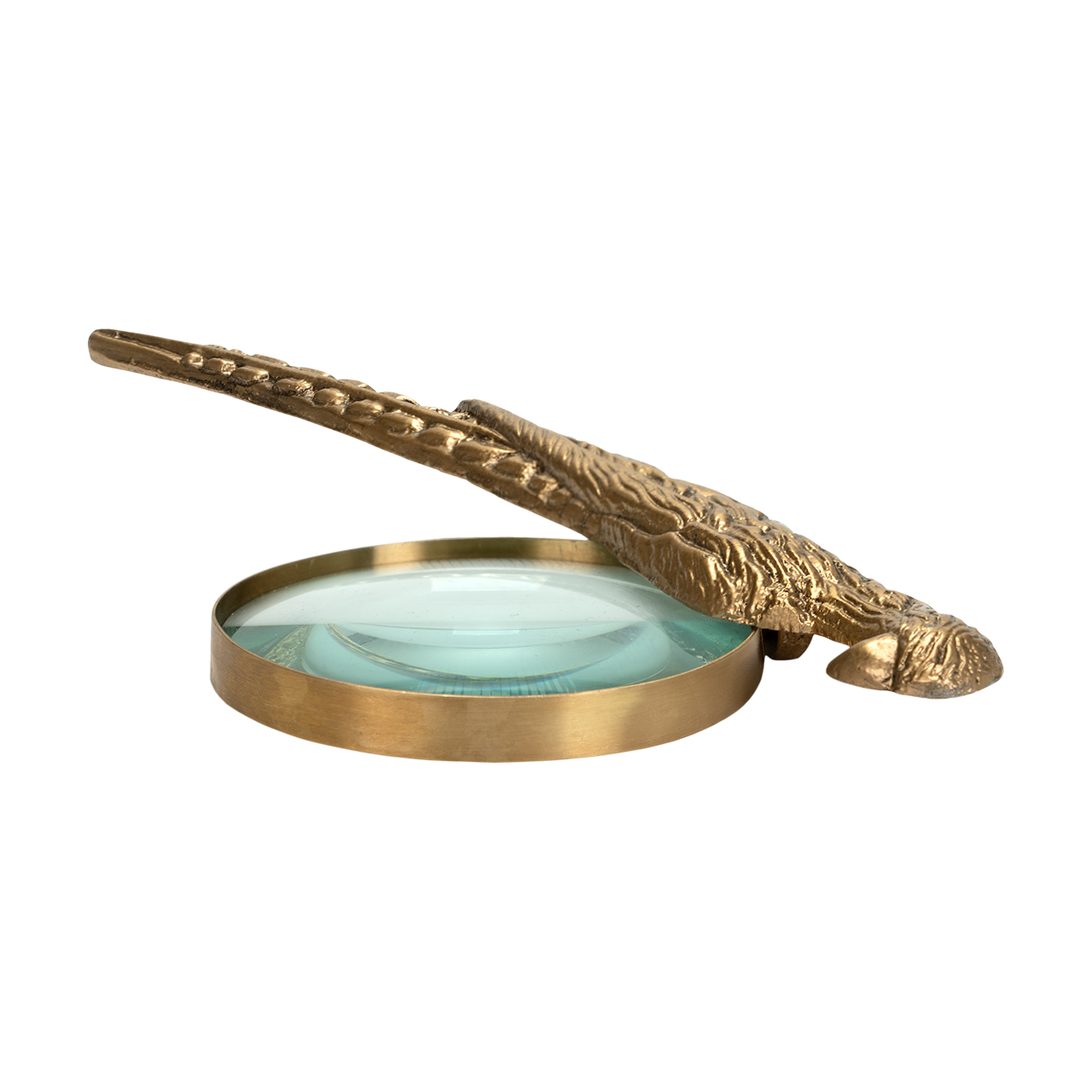 Norine Magnifying Glass 4