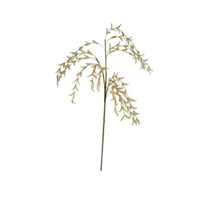 Botanica #2502 4