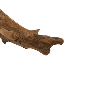 Teak Root Bowl - Large 4
