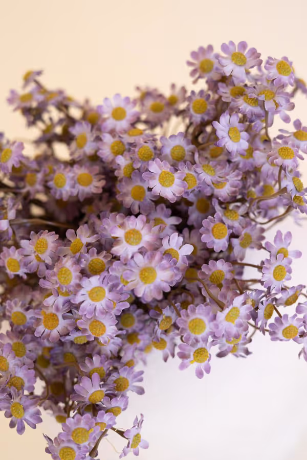 Faux Chamomile Bundle / Lavender