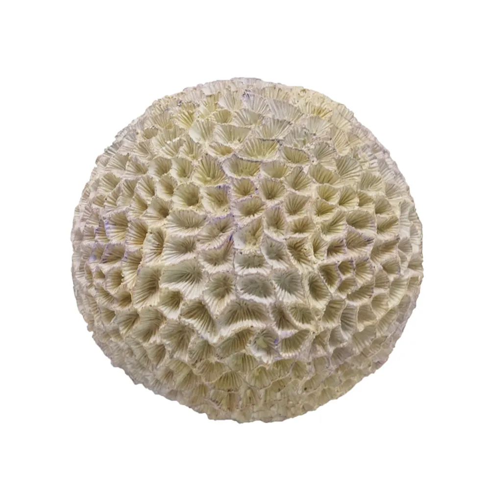 4" CORAL BALL