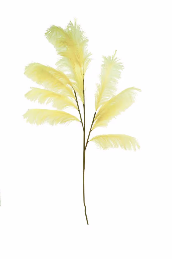 Botanica #2513