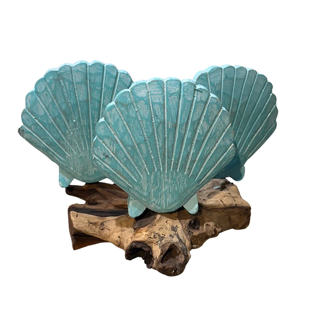 3 SHELLS ON STAND ON DRIFTWOOD